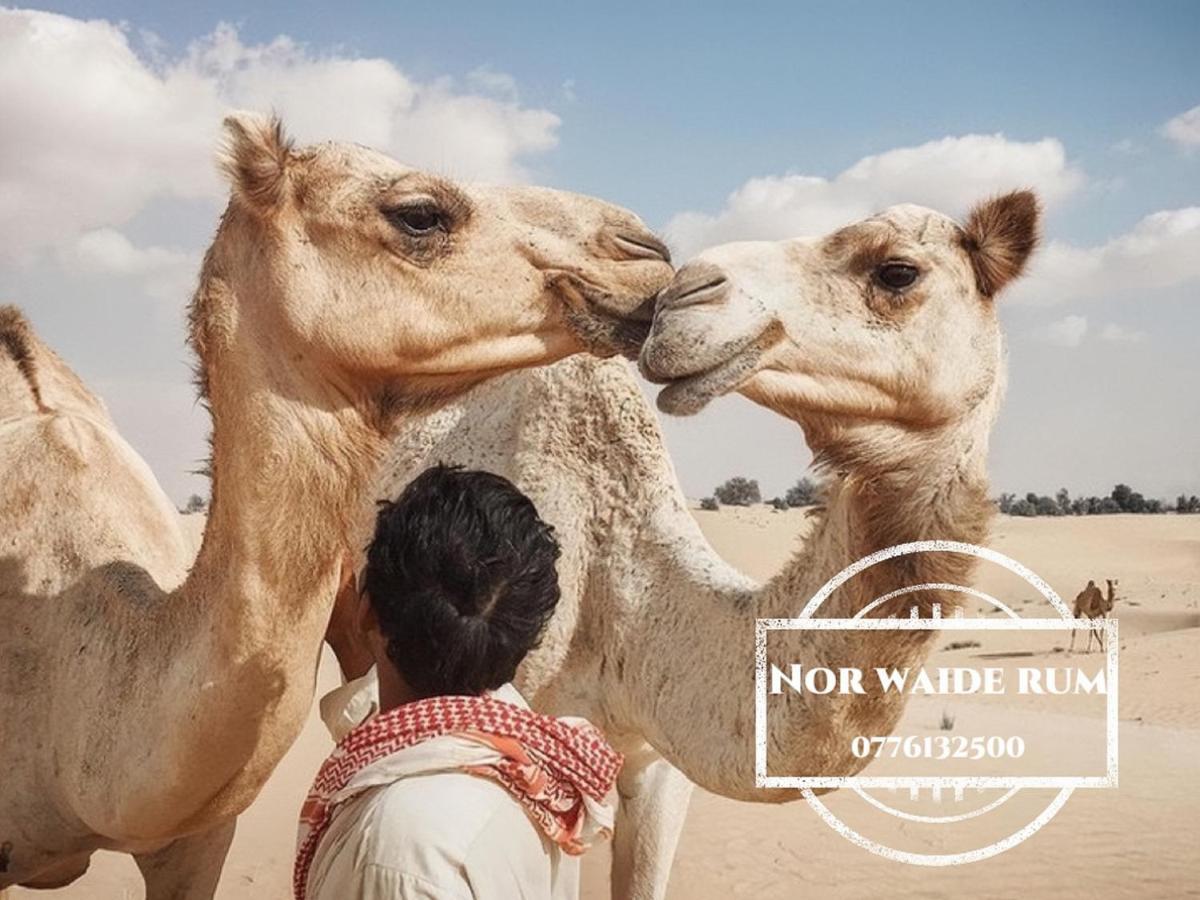 Nor Wadi Rum Bagian luar foto