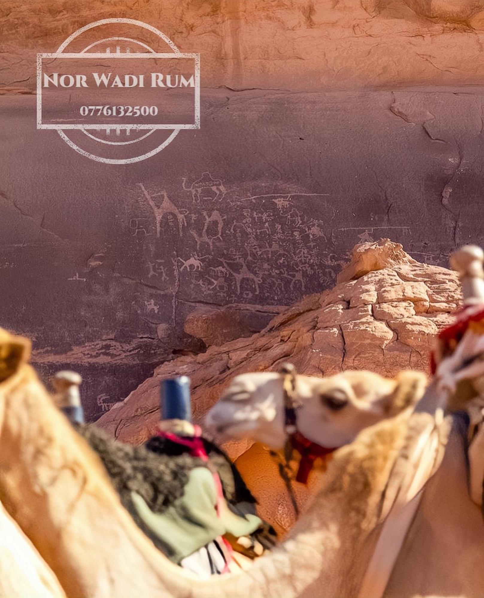 Nor Wadi Rum Bagian luar foto