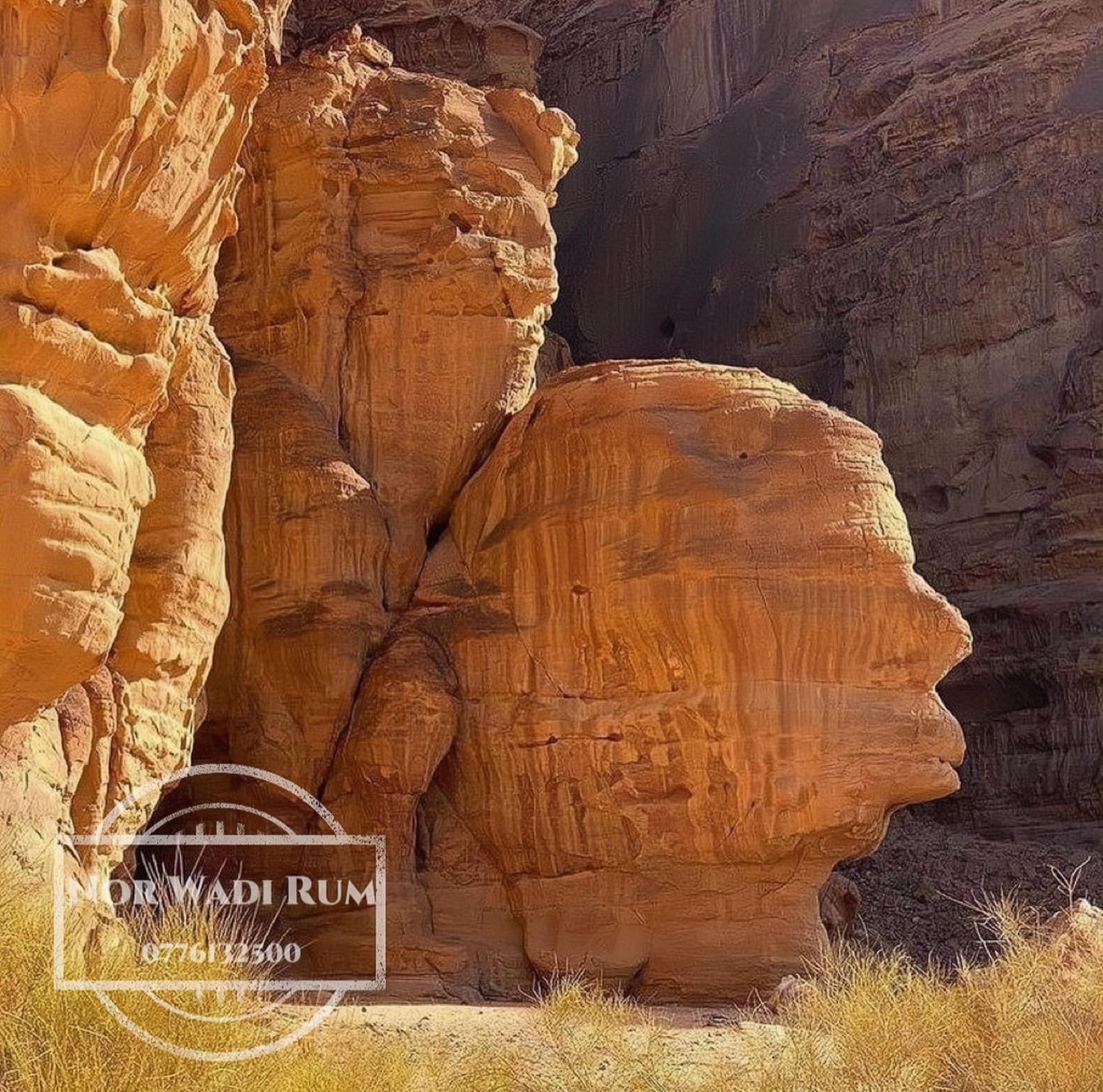 Nor Wadi Rum Bagian luar foto