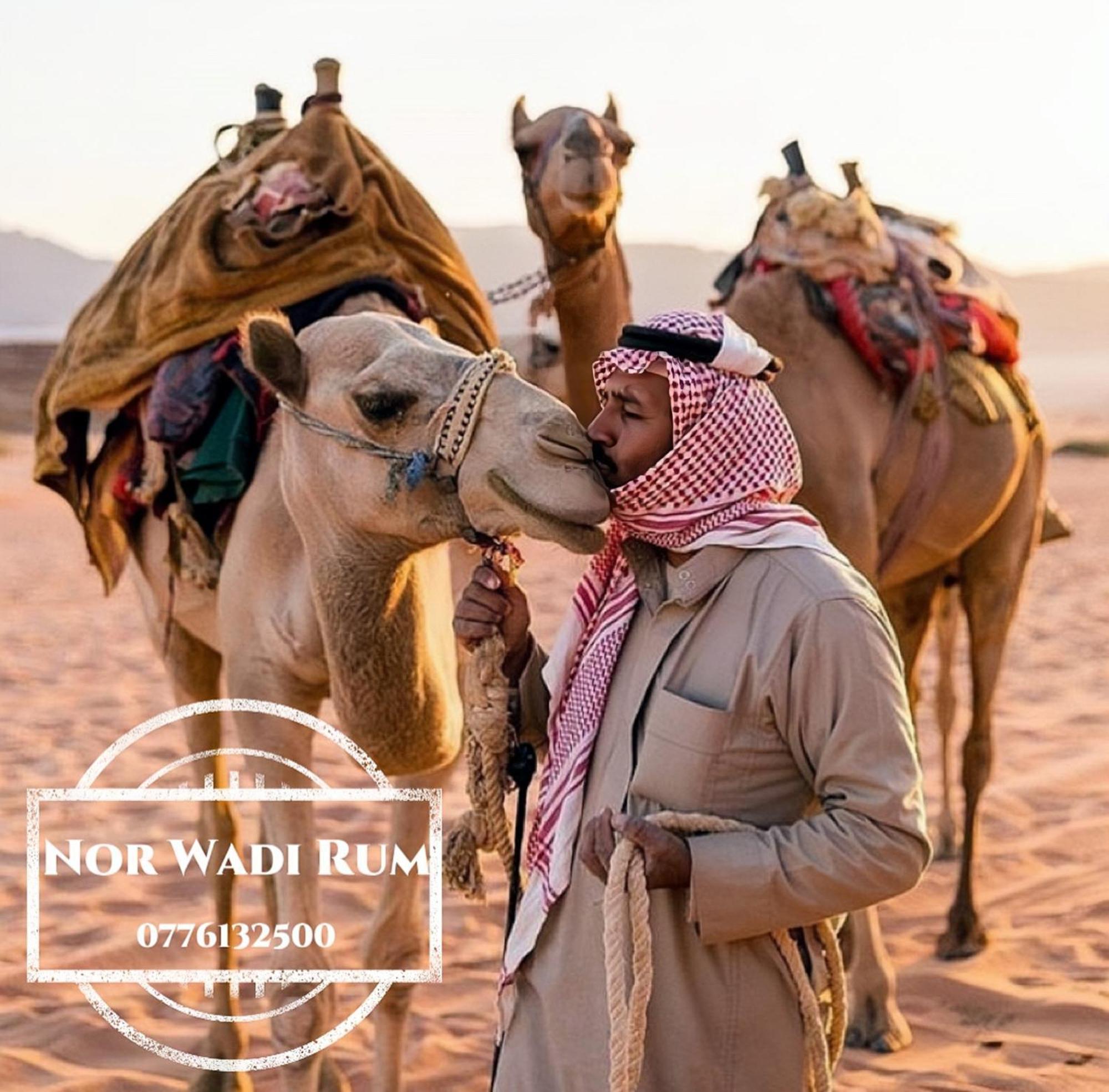 Nor Wadi Rum Bagian luar foto